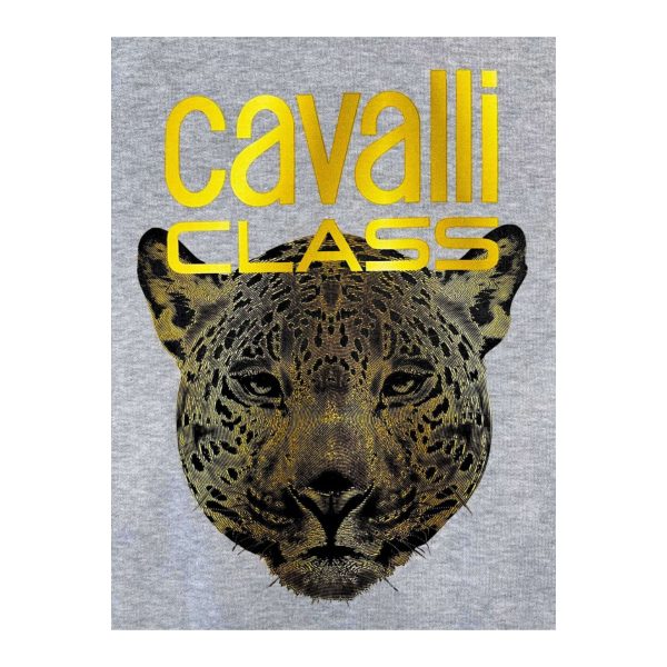Cavalli Class QXT67ZCF062_05014GreyMelange - immagine 4