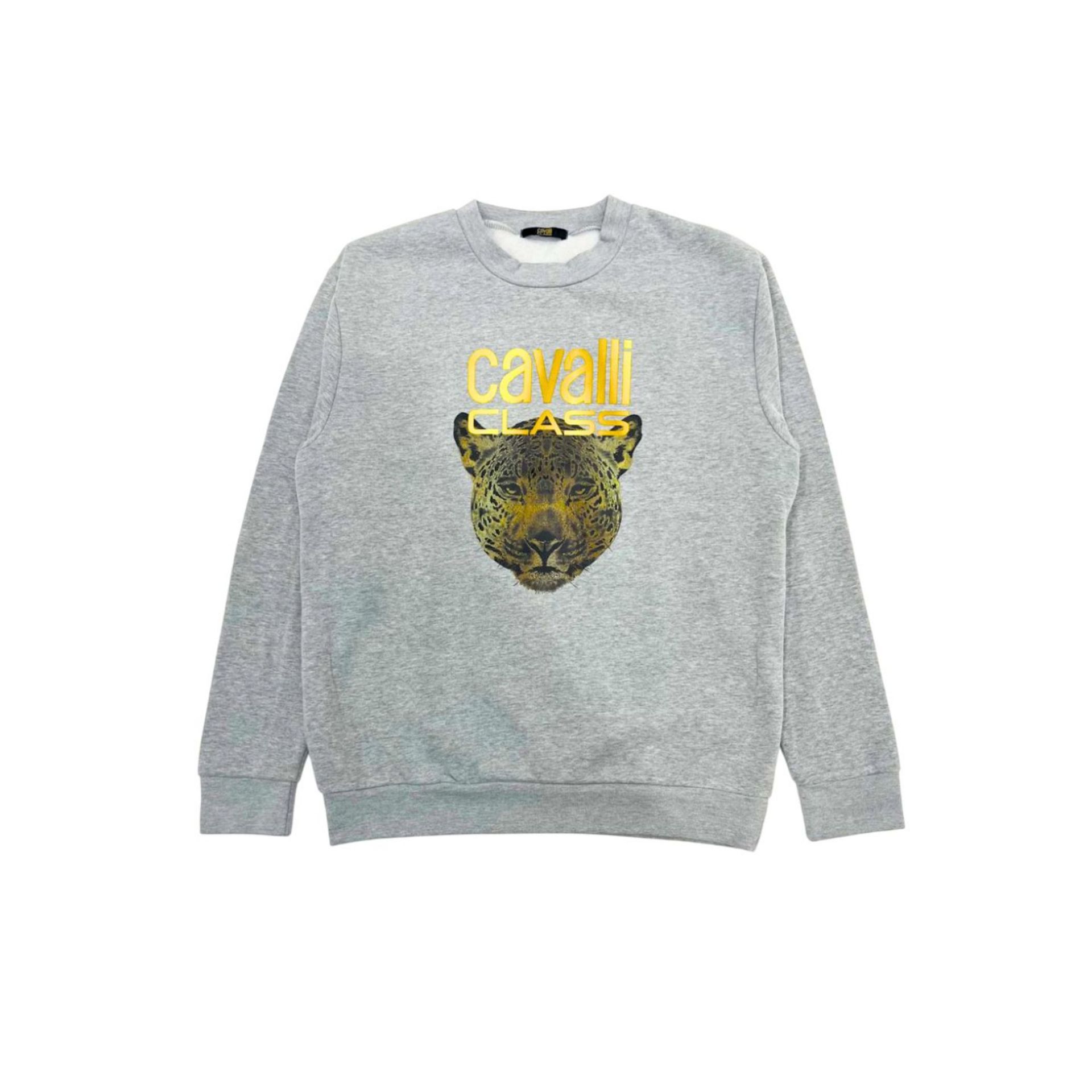 Cavalli Class QXT67ZCF062_05014GreyMelange